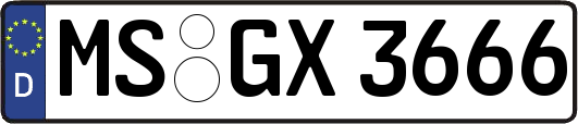 MS-GX3666