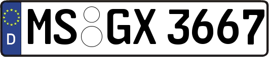 MS-GX3667