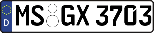 MS-GX3703