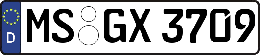 MS-GX3709