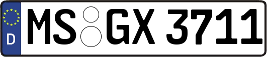 MS-GX3711