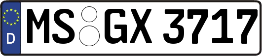MS-GX3717