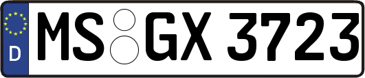 MS-GX3723