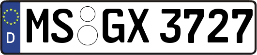 MS-GX3727