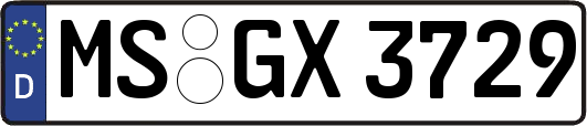 MS-GX3729
