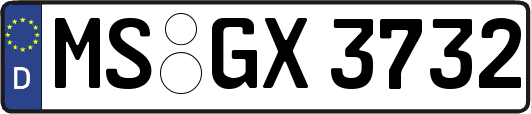 MS-GX3732
