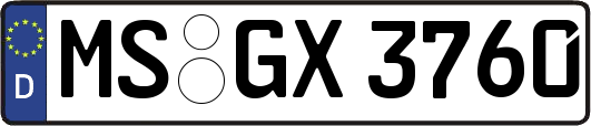 MS-GX3760