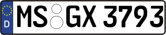 MS-GX3793