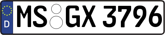MS-GX3796
