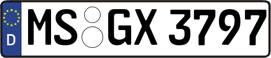 MS-GX3797