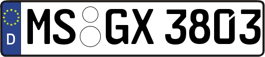 MS-GX3803