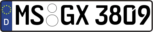 MS-GX3809