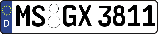 MS-GX3811