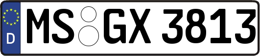 MS-GX3813