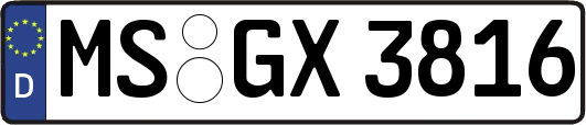 MS-GX3816