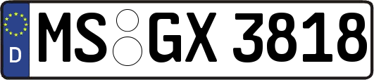 MS-GX3818