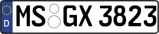 MS-GX3823