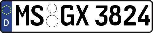 MS-GX3824
