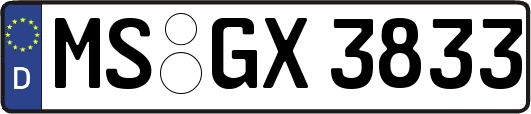 MS-GX3833