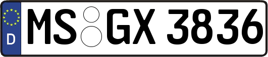 MS-GX3836