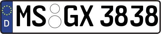 MS-GX3838