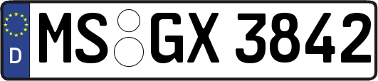 MS-GX3842