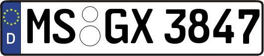 MS-GX3847