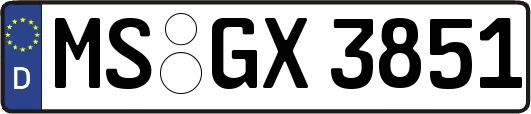 MS-GX3851