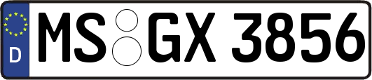 MS-GX3856