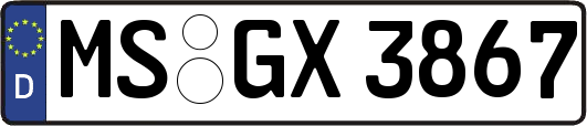 MS-GX3867