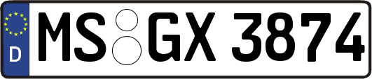 MS-GX3874