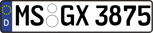 MS-GX3875