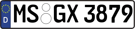 MS-GX3879
