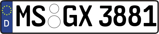 MS-GX3881