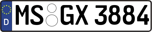 MS-GX3884