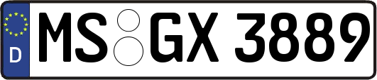 MS-GX3889