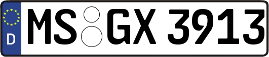 MS-GX3913