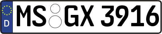 MS-GX3916