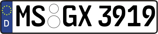 MS-GX3919