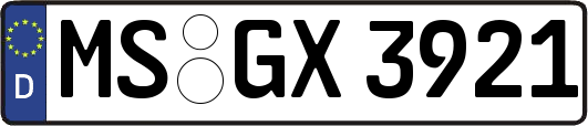 MS-GX3921
