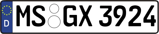 MS-GX3924