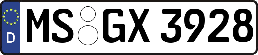MS-GX3928