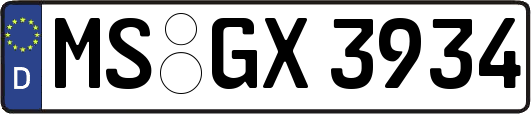 MS-GX3934