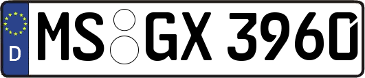 MS-GX3960
