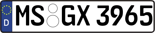 MS-GX3965