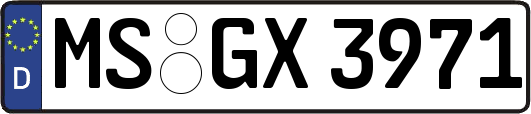 MS-GX3971