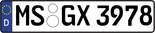 MS-GX3978