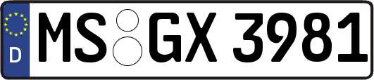 MS-GX3981
