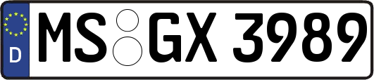 MS-GX3989