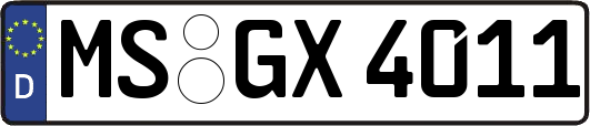 MS-GX4011